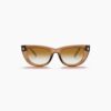 Chocobrown Gradation